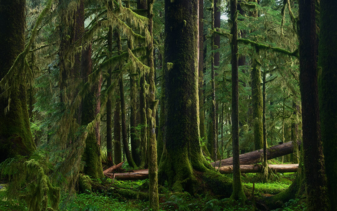 Landschaftsfotografie mit Haida Mist Black Filtern
