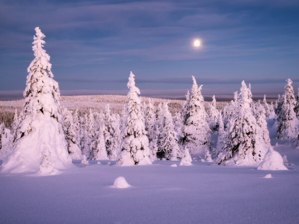 Finnland 1