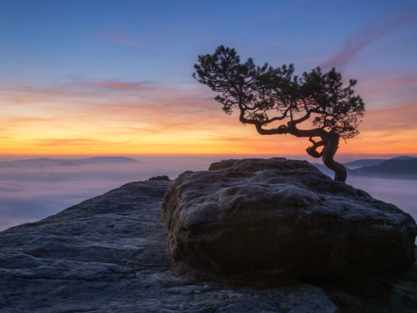 Sächsische Schweiz 27