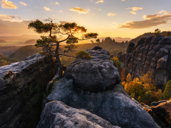 Sächsische Schweiz 26